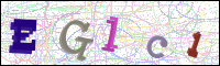 Verificación de la imagen